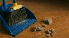 5 Hidden Reasons Your Home Becomes a Dust Magnet