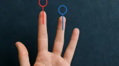 Finger Length Reveals More Than You Think: The Science and Intrigue