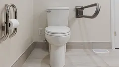 Americans discover how changing toilet posture boosts digestion and daily energy