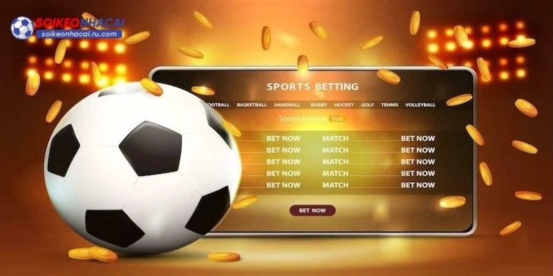 Một vài bí quyết để bet thủ bắt kèo Ngoại hạng Anh hiệu quả.